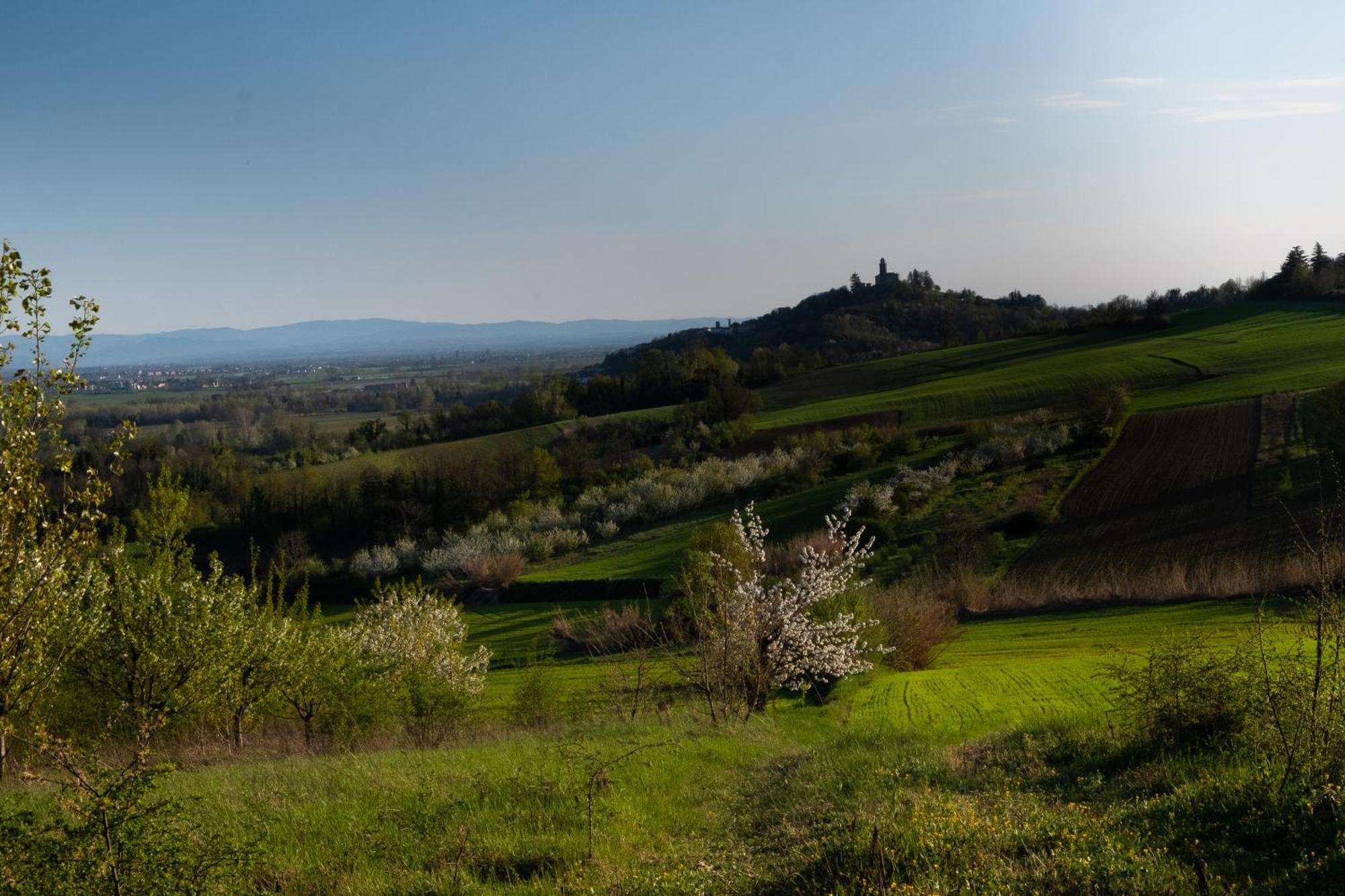 Monferrato Inn Rivarone Extérieur photo